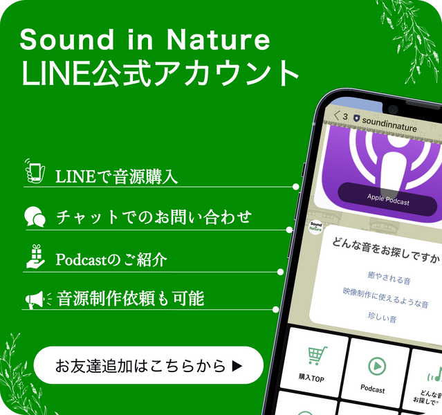LINE official account is ready